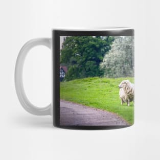 Sheep Mug